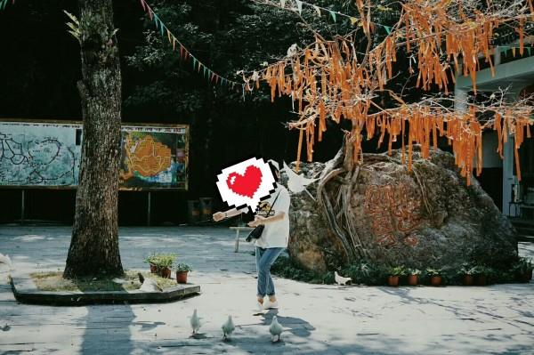 救援小胖妞